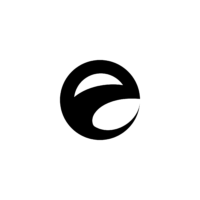 Evo Electronic